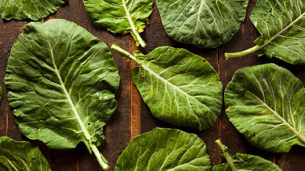 挑选蔬菜注意什么