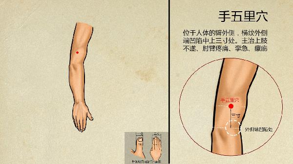 中医认为心跳快是咋回事