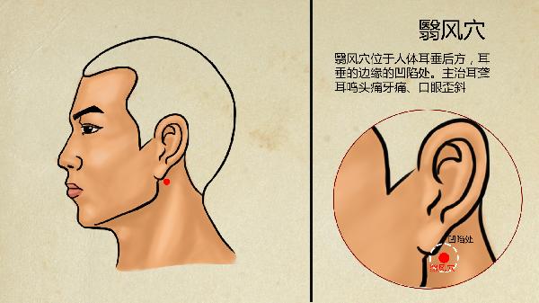 冬季养生饮用哪些药酒有好处