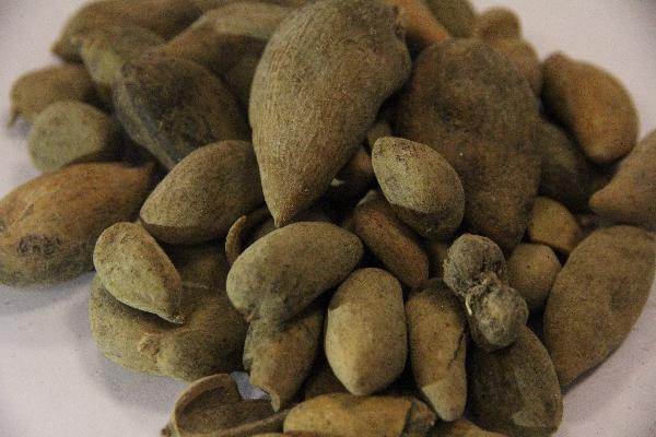喝中药时一定要远离5类食物吗