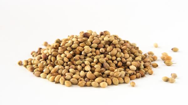 草豆蔻肉豆蔻白蔻仁
