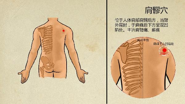 中医治疗骨折为何那么快