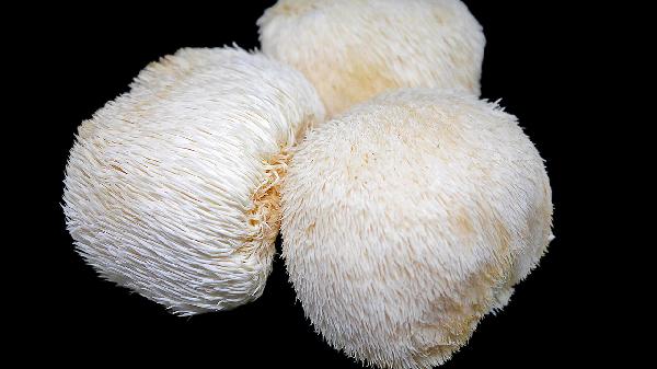 猴头菇怎样煲汤好喝