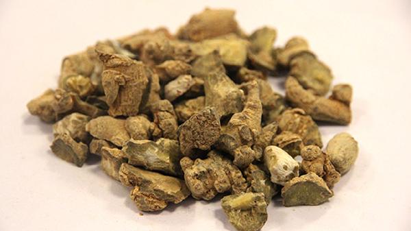 三七对骨折有什么好处和坏处