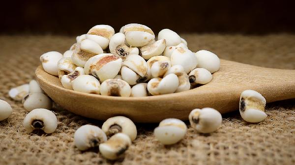 薏仁可以泡水喝吗