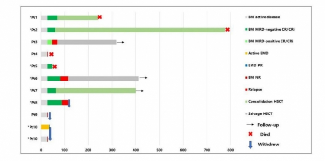 陆道培医学团队在Blood杂志发表CD7 CAR-T治疗白血病最新研究