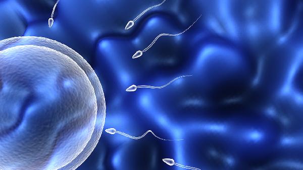 男人精子成活率低怎么治疗