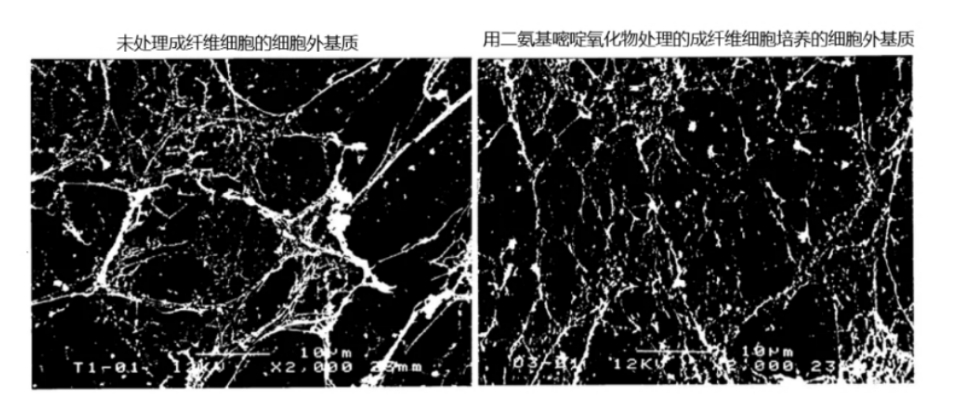 乌诺地尔，未来日化领域的“精准防脱”爆品