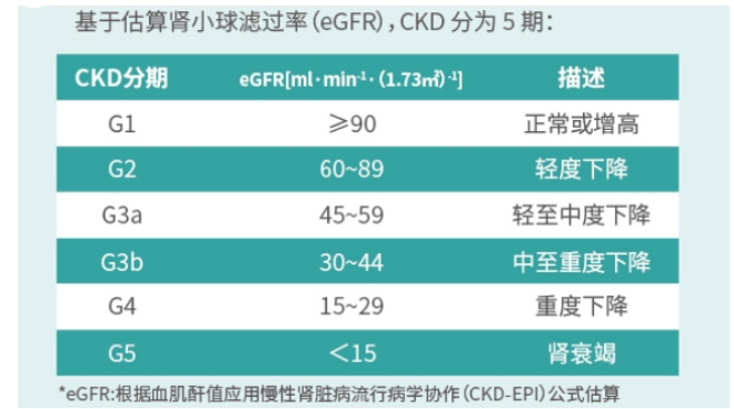 世界肾脏日丨三高人群需特别关注肾功能，国产创新居家肌酐检测助力肾脏健康管理
