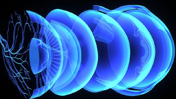 神经腿痛怎么治好的快些