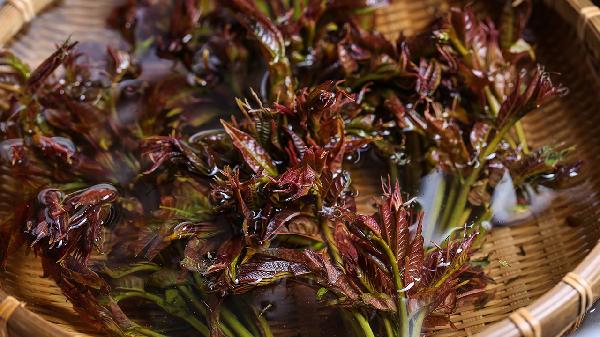 清明时节必吃的5种'护心菜'，竟与介子推有关？第3种家家都有却不懂吃！