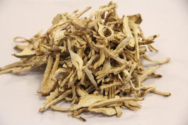 服用中药会长胖是真的吗