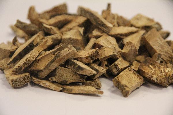服用中药会长胖是真的吗