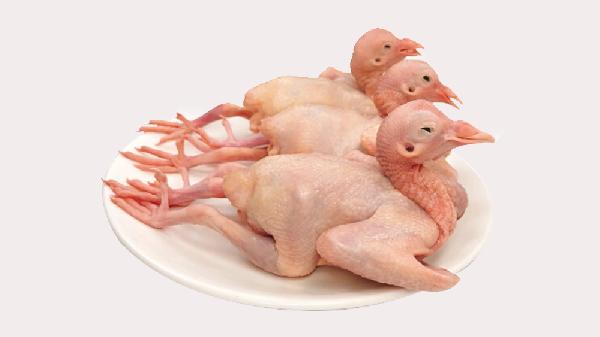乳鸽怎么烤脆皮好吃