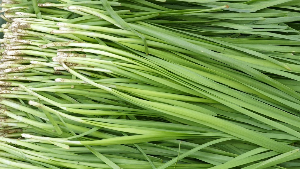 春天必吃这5种黄金菜，增强免疫又养肝，随手一炒鲜嫩爽口