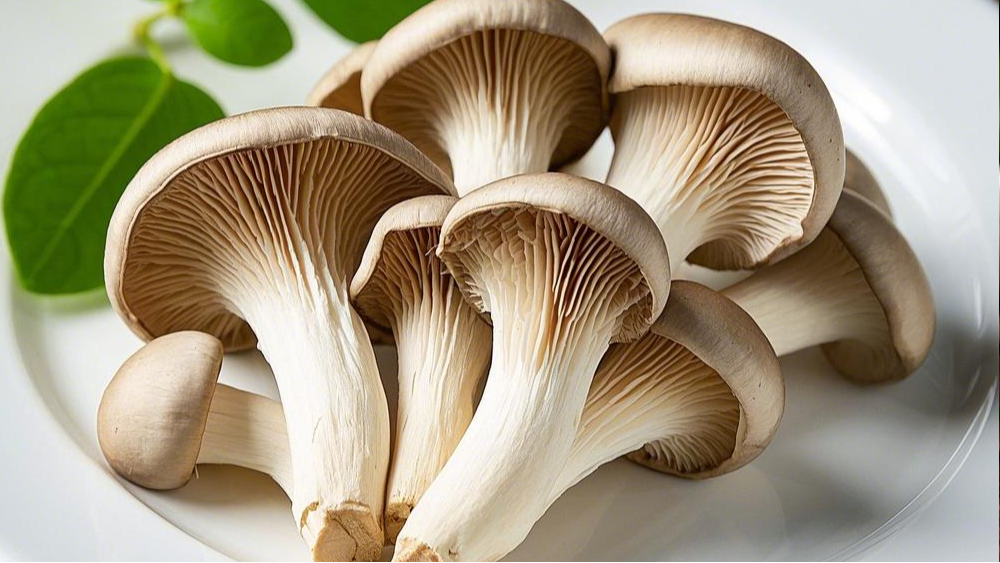 硒是洋葱的32倍，建议中老年常吃，手脚麻利，爬楼梯不累！