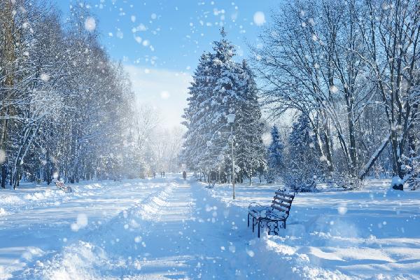 滑雪板初学者用什么板材好