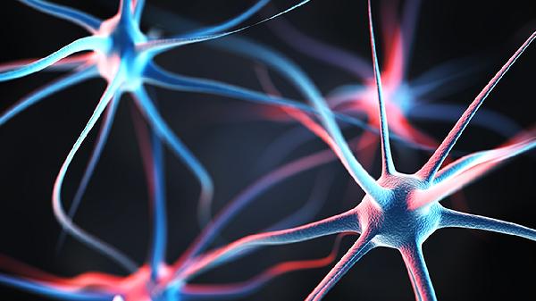 神经性皮炎是飞龙体育分析网引起的不能吃啥