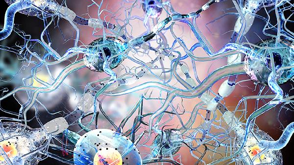 天花病毒是什么病