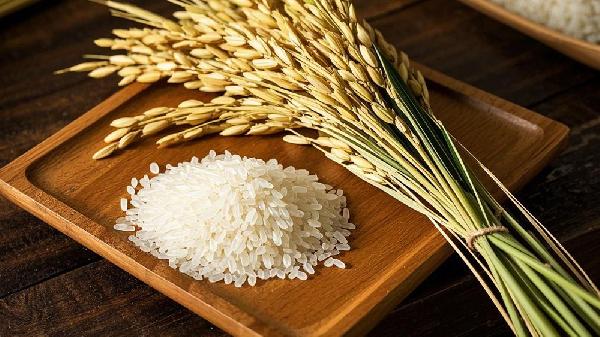 籼米粉和糯米粉区别