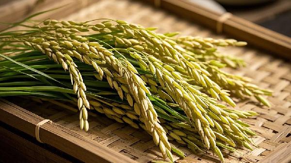 籼米粉和糯米粉区别