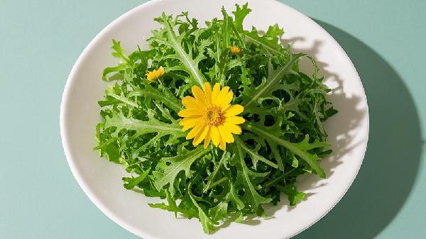 苦菊是什么菜系的菜
