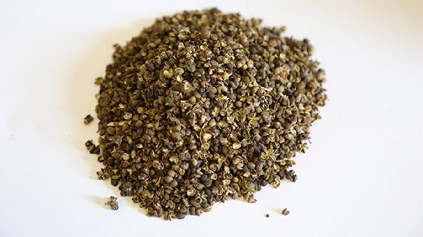 花椒成熟的季节是几月