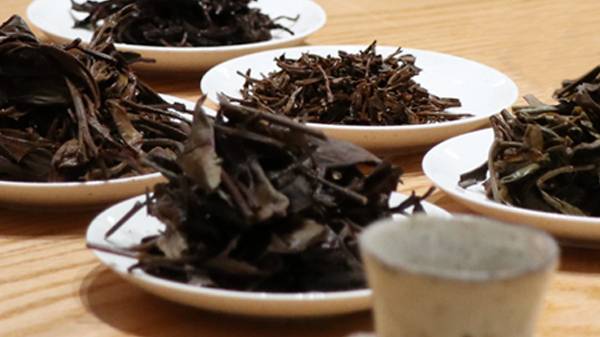 中国四大红茶哪个好喝