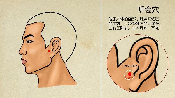 中医脱发原因及治疗
