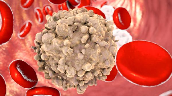 白细胞低鼻子容易出血怎么回事