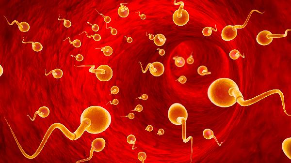 精子不液化腰疼是怎么回事