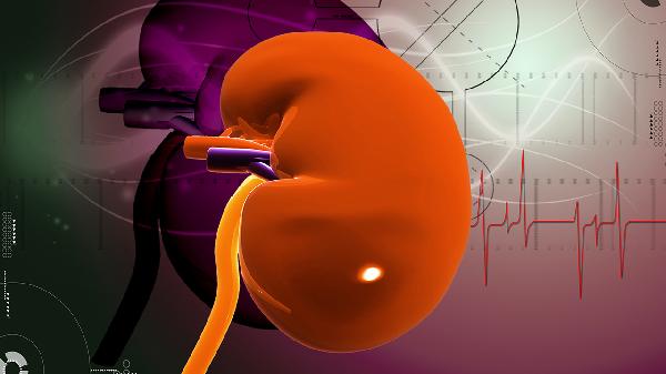 肾病综合征水肿吃什么食物消水肿