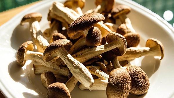 鹿茸菇糖尿病人可以吃吗