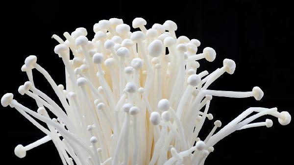 早萎阳泄最怕三个食物