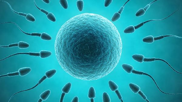 男性不育怎么怀孕