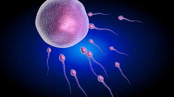 精子在女性体内能存活一年吗