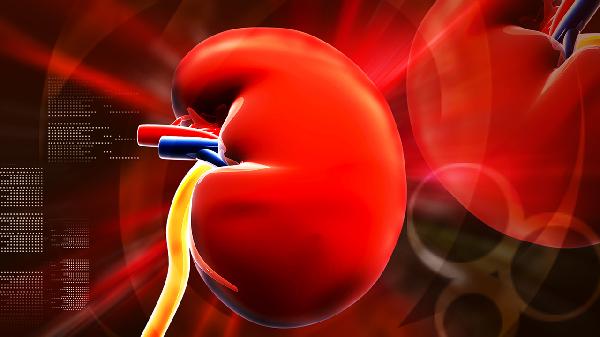 被马蜂蛰了肾会损伤吗