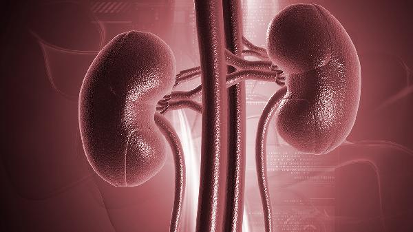 肾肿瘤会压迫肠道吗