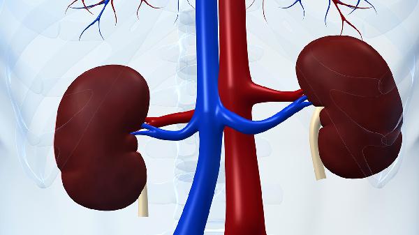 肾病综合症是啥病