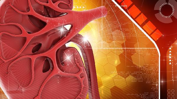 肾结节疼是怎么回事