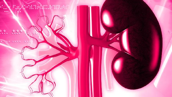 双肾体积缩小严重吗