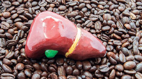 氨基酸伤肝肾功能吗