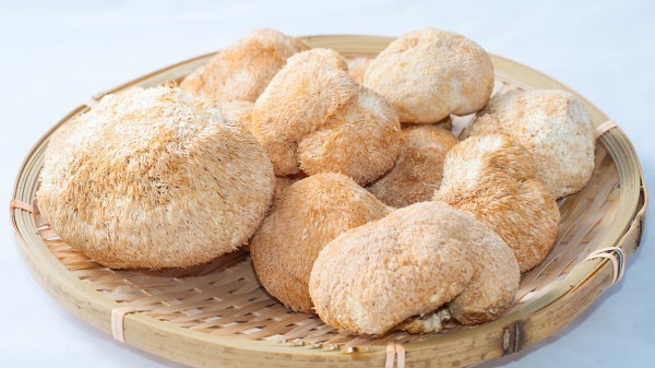胃不好的人，能喝牛奶吗？医生建议：想养胃，这 4 种食物劝你多吃