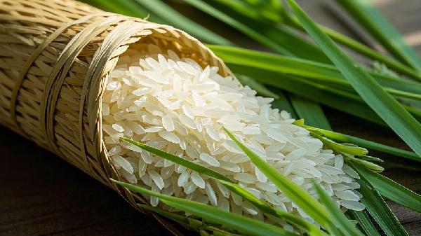 籼米、粳米和糯米