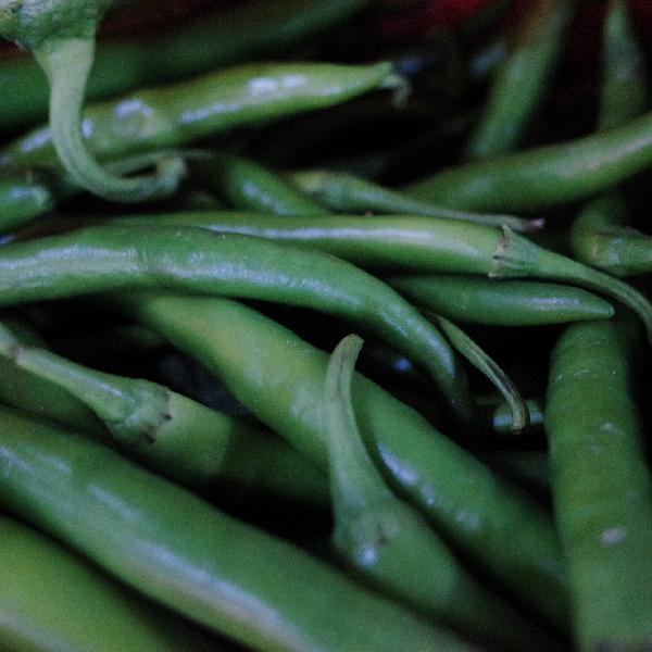 塑料菜板有毒吗?