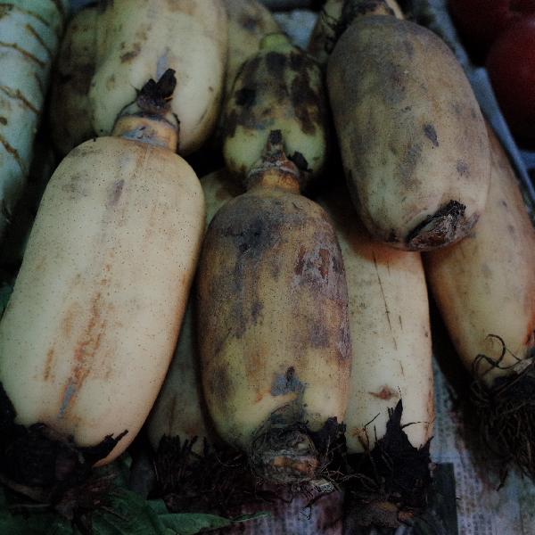 塑料菜板有毒吗?