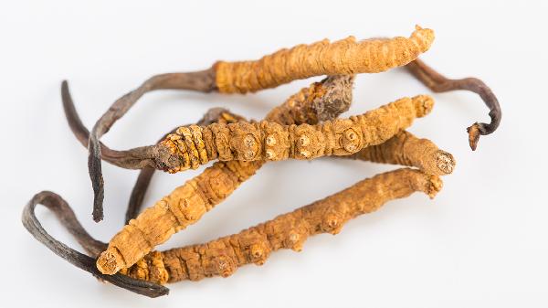 经常锻炼吃什么食物补充营养