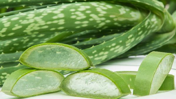 芦荟和红薯可以一起吃吗