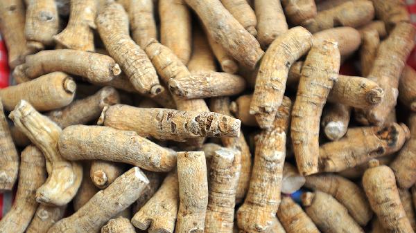 女人长期喝西洋参有什么好处