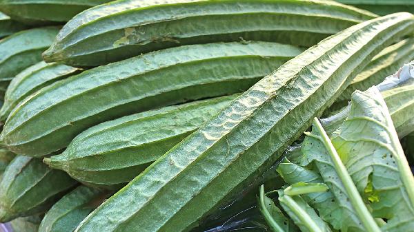 丝瓜是结肠癌的“催化剂”？告诫：想要肠道健康，这几样蔬菜少碰